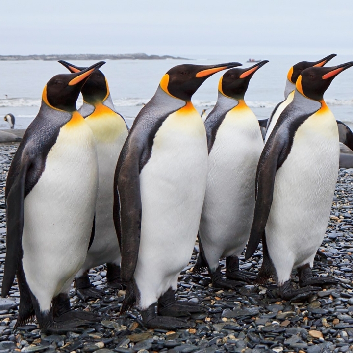 PhotoGrid_1630516094756