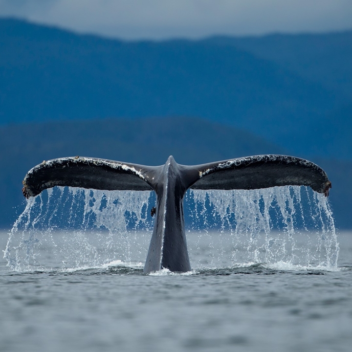 PhotoGrid_1630516122779